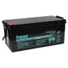 Drypower 12SB250TL-FR Sealed Lead Acid Battery
