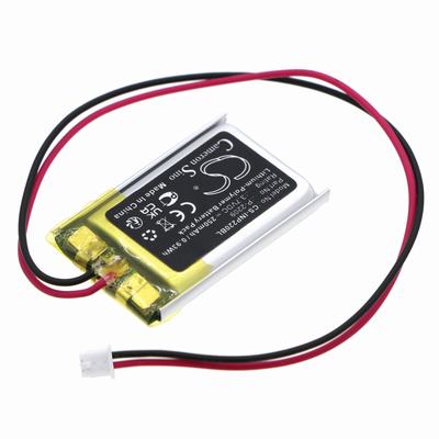 INT RASTER Memory BU Payment Term Battery 3.7V 250mAh Li-Pl INP220BL
