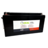 ZEAL 12V 200Ah Lithium Iron Phosphate (LiFePO4) Deep Cycle Battery