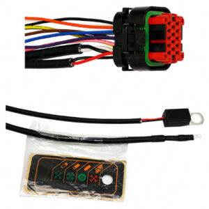 DQIC CANBUS HARNESS 2