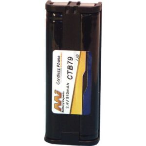 2.4V Panasonic HHR-P105 CTB79 Battery